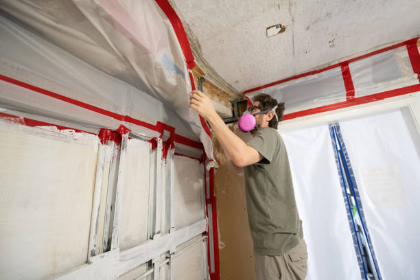 Best Residential Mold Inspection & Testing  in Evadale, TX