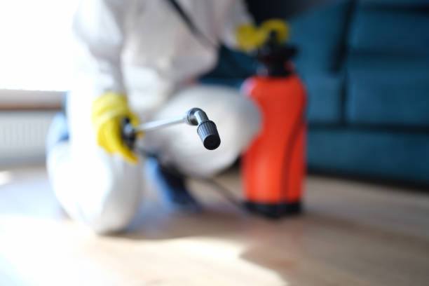 Environmental Consulting for Mold Prevention in Evadale, TX